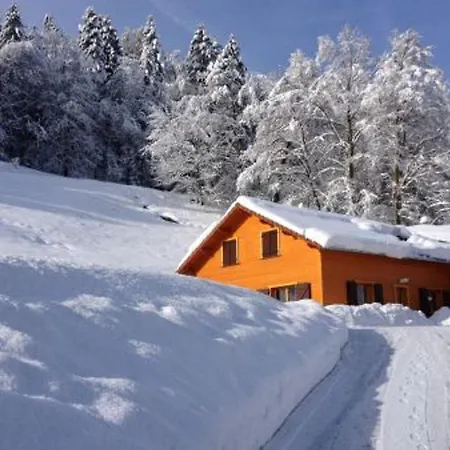 Confort Avec Piscine, Terrasse, Et Sauna Prive En Montagne - Fr-1-589-101 Ferdrupt