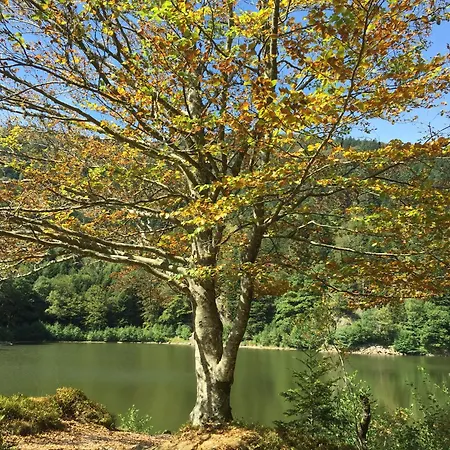 Confort Avec Piscine, Terrasse, Et Sauna Prive En Montagne - Fr-1-589-101 *