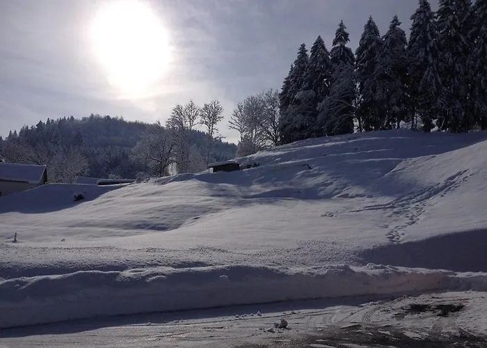 Confort Avec Piscine, Terrasse, Et Sauna Prive En Montagne - Fr-1-589-101 Prázdninový dům