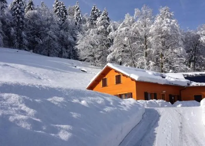 Confort Avec Piscine, Terrasse, Et Sauna Prive En Montagne - Fr-1-589-101 Ferdrupt