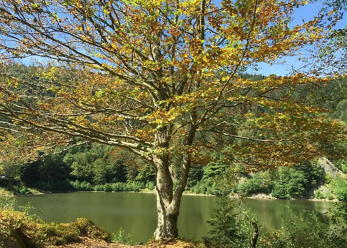 Confort Avec Piscine, Terrasse, Et Sauna Prive En Montagne - Fr-1-589-101 *